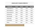 Unknown Singularity Fixed Gear Edition | Frameset
